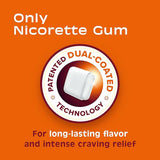 Nicorette 2 mg Nicotine Gum to Help Quit Smoking - Fruit Chill Flavored Stop Smoking Aid, 1-Pack, 160 Count, Plus Advil Dual Action Coated Caplets with Acetaminophen, 2 Count